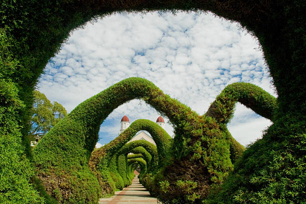 Widow castle Arena Salix in Schlepzig, Burg, Spreewald, old botanic architecture made with widow trees.