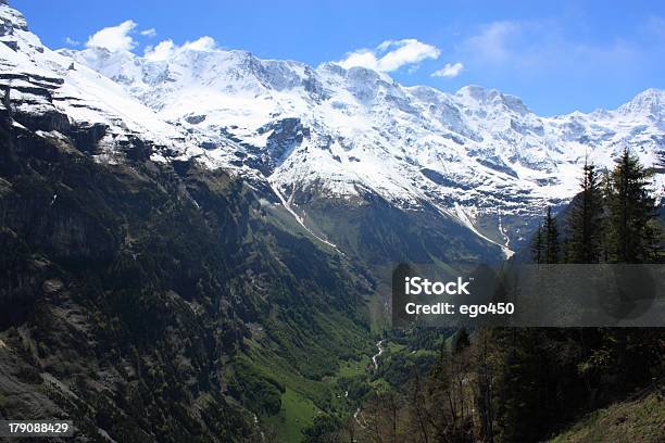 Schweiz Stockfoto und mehr Bilder von Alpen - Alpen, Anhöhe, Aster