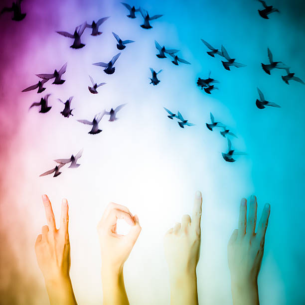 istock hand with 2013 number flying doves new year background 179088654