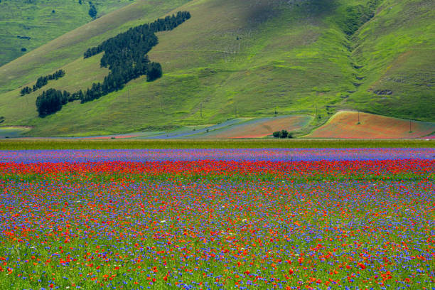 istock UMBRIA CENTRAL ITALY 1790887960