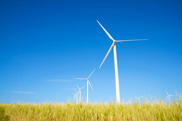 istock Wind turbine generators for green electricity production 1790891224
