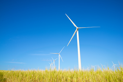 Wind turbine generators for sustainable electrical energy production