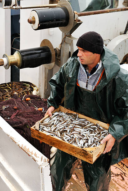 istock Fisherman carrying a box of fish after working 179089185