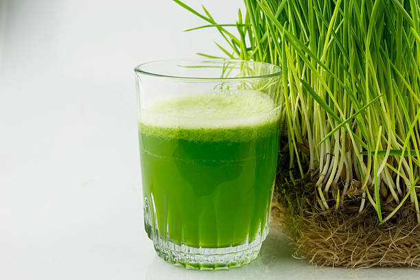 grüne bio-weizen gras zu trinken saft - wheatgrass stock-fotos und bilder