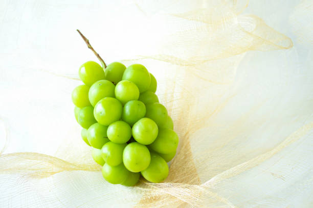 Grapes with dew drops on white background.