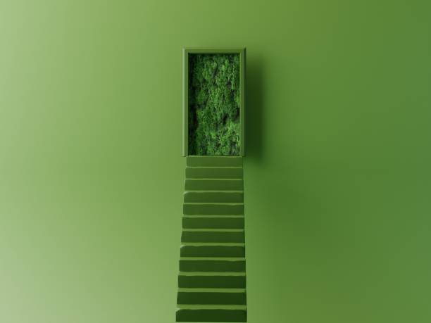 3D ladder to green sustainable business 3D Minimal green background with green ladder leading to sustainable future. Concept of green business, green transition, success, business growth, business opportunity. 3D render sustainable business stock pictures, royalty-free photos & images