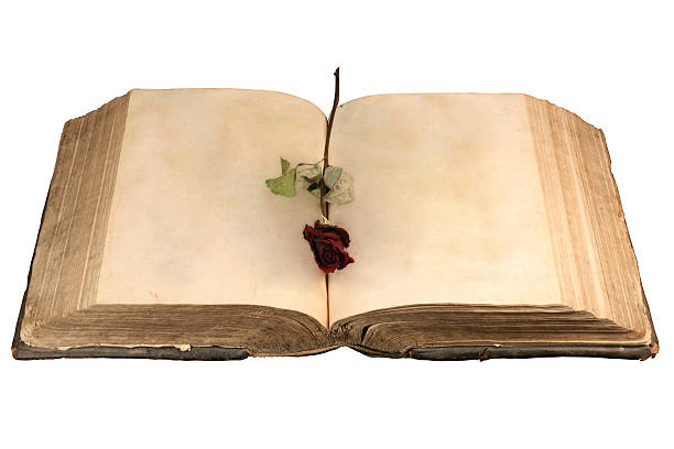 istock Isolated old book wih plane pages 179090074