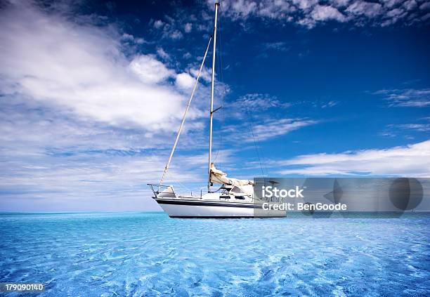 Tropical Waters Stock Photo - Download Image Now - Activity, Animal, Beach