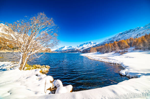 istock Engadine and Sils Maria lake. 1790908325