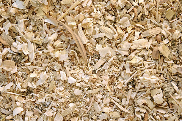 istock Sawdust animal bedding (Texture) 179091360