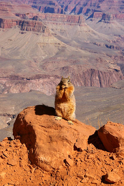 istock Fear of Heights 179091420