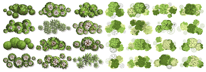 Entrarage Tree Tree For Architectural Floor Plans Entourage Design Various Trees ...
