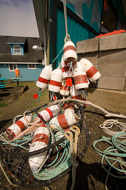 istock Crab pot with buoys Yachats Oregon Pacific coast 179091511