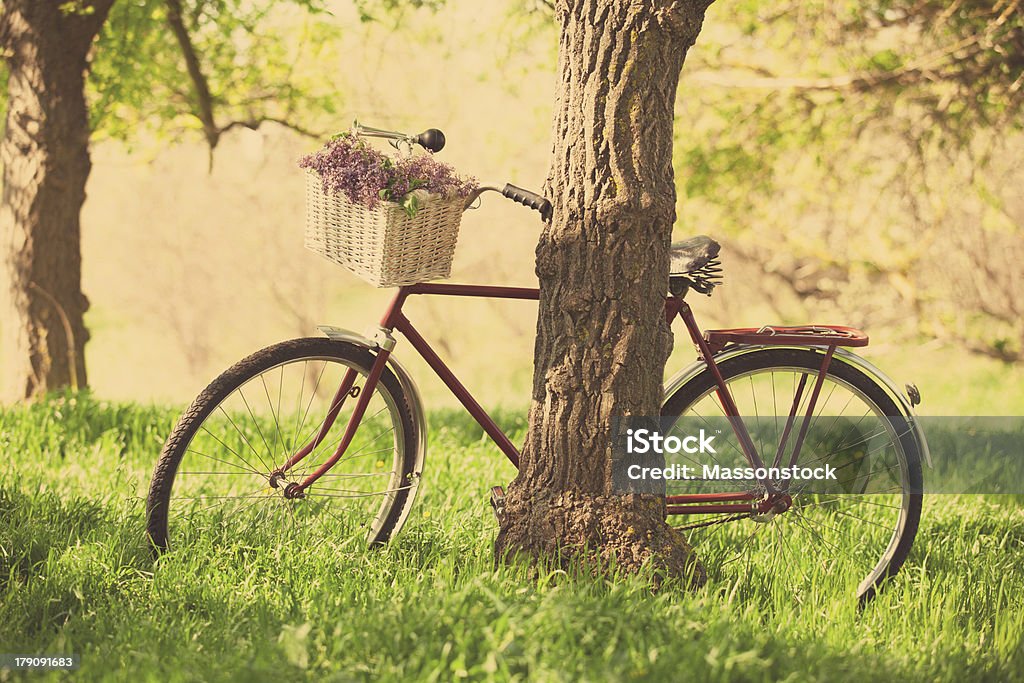 Vintage bicycle waiting near tree file_thumbview_approve.php?size=1&id=25180794 Agricultural Field Stock Photo
