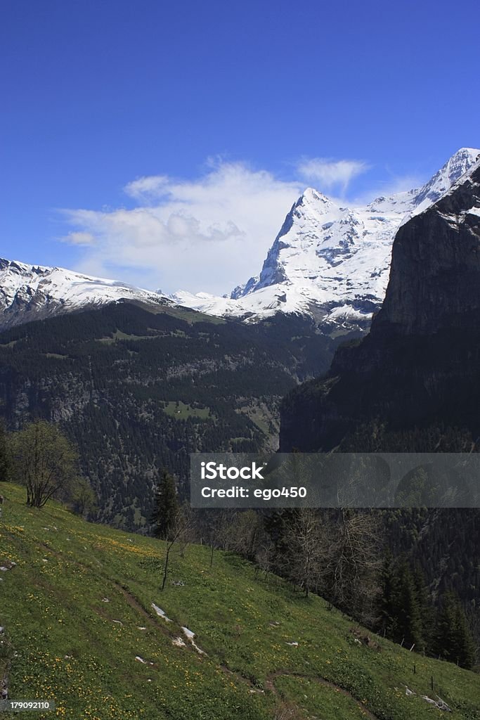 Suisse - Photo de Alpes européennes libre de droits