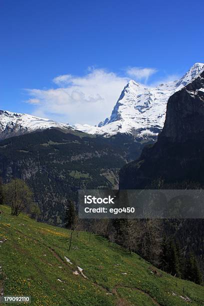 Photo libre de droit de Suisse banque d'images et plus d'images libres de droit de Alpes européennes - Alpes européennes, Arbre, Colline