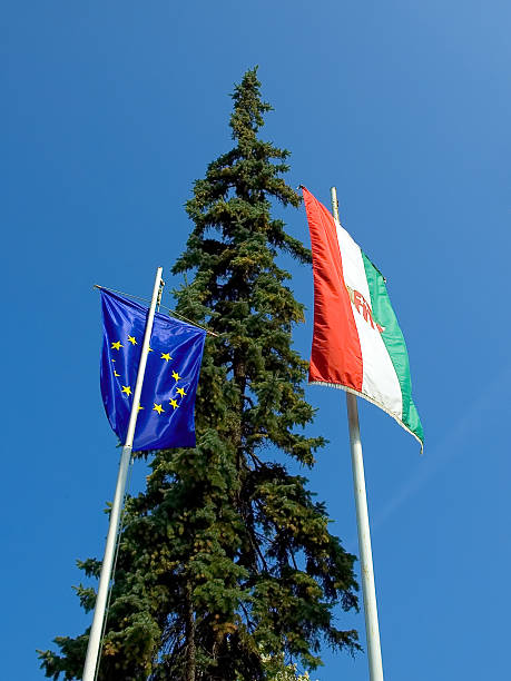 hungary and EU flag against tree stock photo