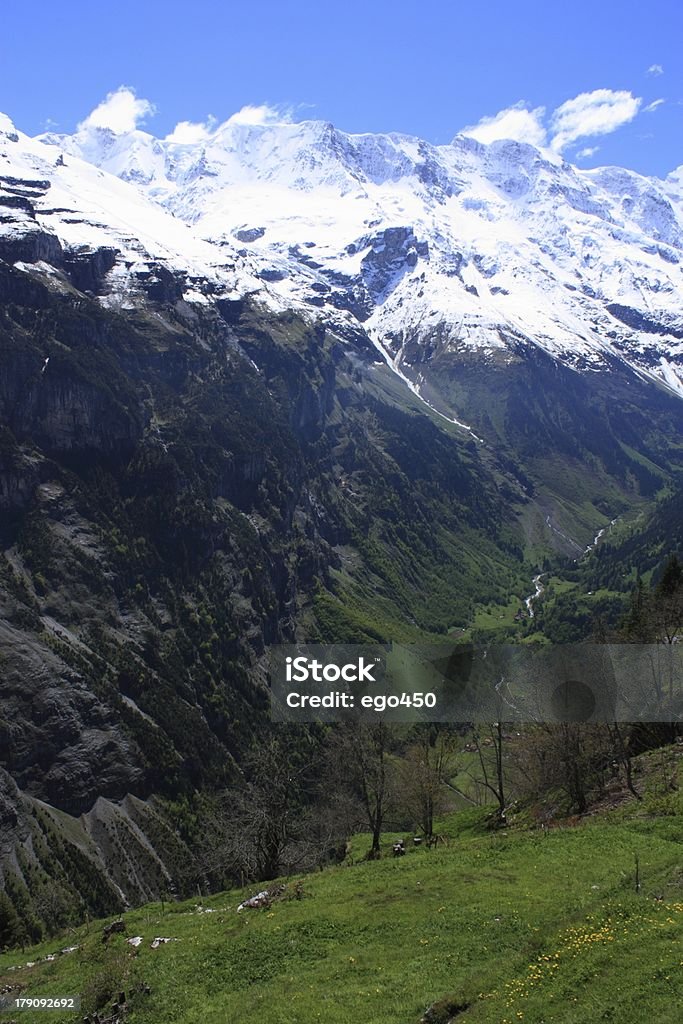 Suiza - Foto de stock de Acantilado libre de derechos