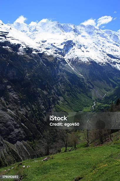 Suiza Foto de stock y más banco de imágenes de Acantilado - Acantilado, Aire libre, Alpes Europeos