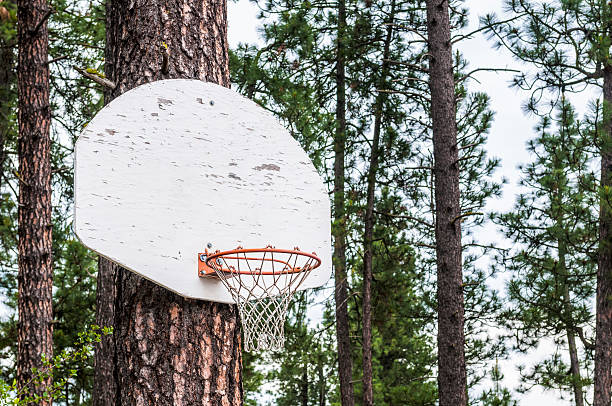 istock Pine tree Basketball hoop and backboard 1 179092694