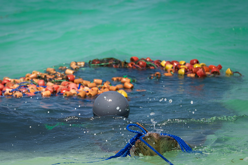 closeup of commercial fishing net on water, Zanzibar ,Tanzania.