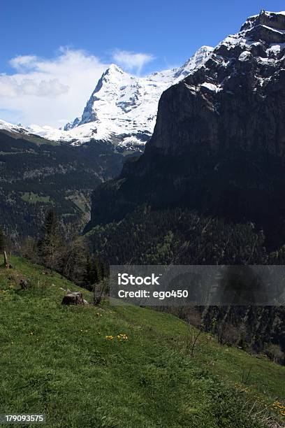 Alpi Svizzere - Fotografie stock e altre immagini di Alpi - Alpi, Ambientazione esterna, Aster