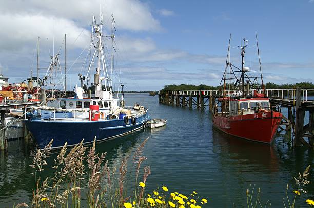 Fishing boats stock photo