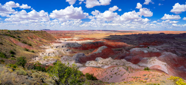 istock Painted Desert National Park 1790944993