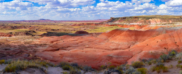 istock Painted Desert National Park 1790944994