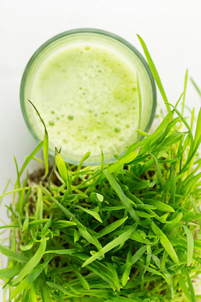 istock Green Organic Wheat Grass Juice ready to drink 179095190