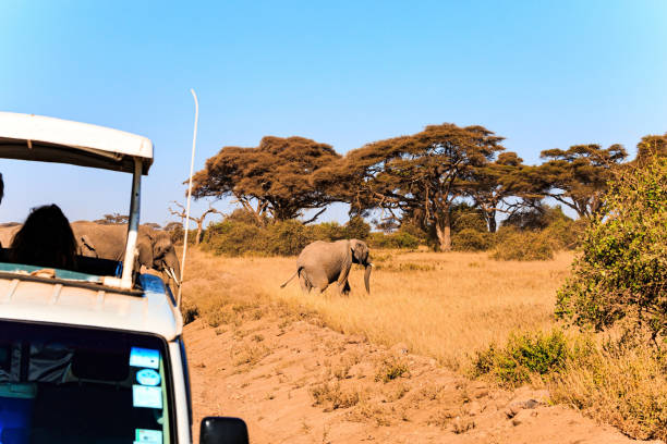 istock Car with tourists 1790964934