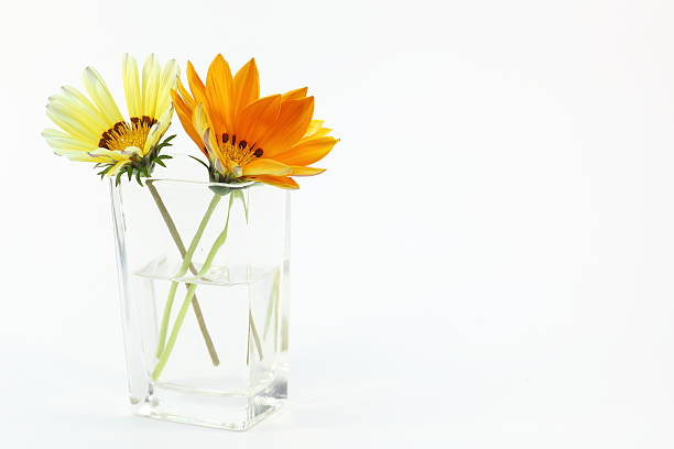 istock Treasure flower in a glass vase 179098071