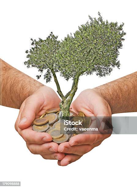 Olive Tree En La Palms Como Un Regalo Foto de stock y más banco de imágenes de Adulto - Adulto, Agricultura, Brazo humano