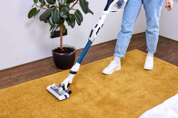 istock Unrecognizable person using vacuum cleaner at home, closeup 1790998363