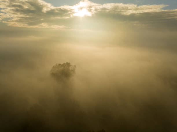 istock Misty forest overhead aerial view during autumn 1791003827