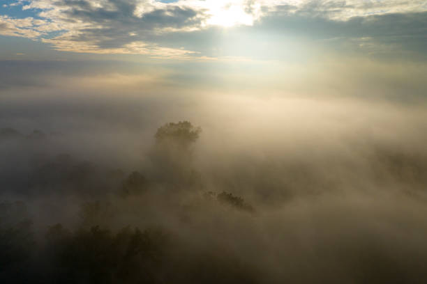 istock Misty forest overhead aerial view during autumn 1791007494