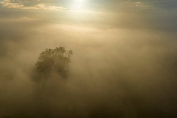 istock Misty forest overhead aerial view during autumn 1791009681