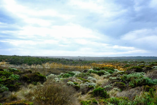 istock wild field in australia 1791016278