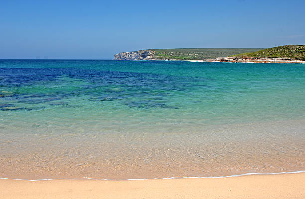 istock Calm Summer Beach, Sydney,  Australia 179101777