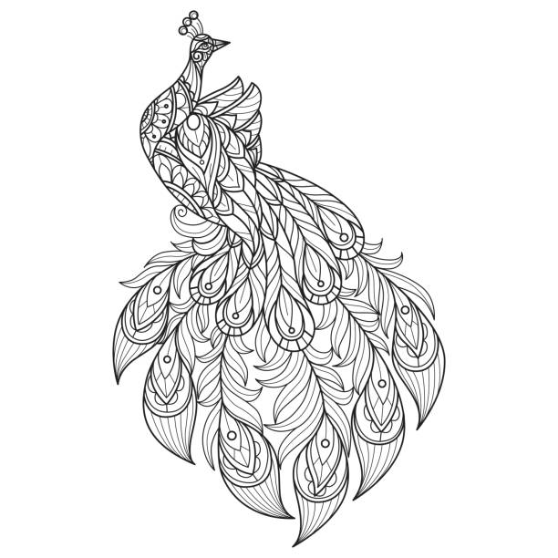ilustrações de stock, clip art, desenhos animados e ícones de so cute peacock hand drawn for adult coloring book - peacock feather outline black and white