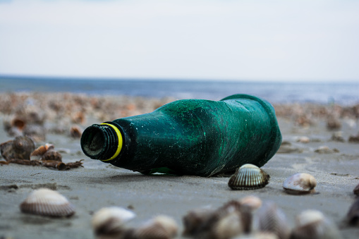 Bottle brought by the sea after the storm