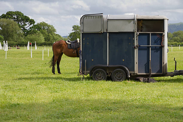 istock By the horsebox 179102047
