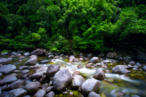 Water flowing slowly over rocks and boulders in a rainforest near Cairns, in tropical north Queensland Australia. Mossman Gorge is a Daintree River nature reserve, popular with tourists to far North Queensland.