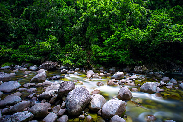 Mossman River Daintree National Park Water flowing slowly over rocks and boulders in a rainforest near Cairns, in tropical north Queensland Australia. Mossman Gorge is a Daintree River nature reserve, popular with tourists to far North Queensland. port douglas photos stock pictures, royalty-free photos & images