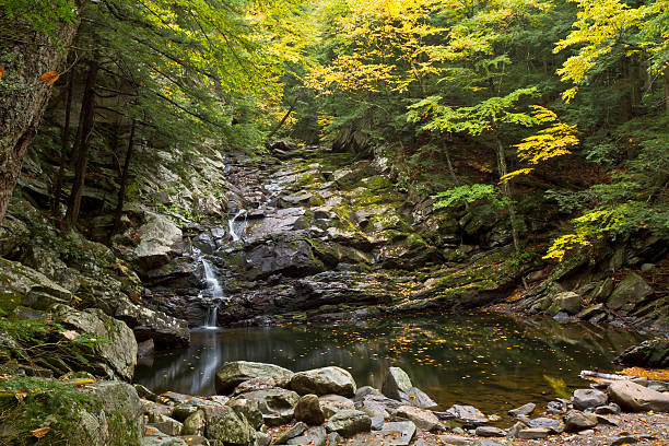 Leaves float in the pool at the bottom of Wahconah Falls in the Berkshires Mountains of Massachusetts