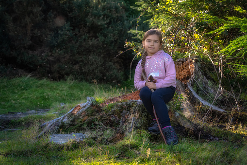 Young girl sitting on a tree trunk in the forest, illuminated by sunlight. Active child, hiking in Glendalough, Wicklow Mountains, Ireland