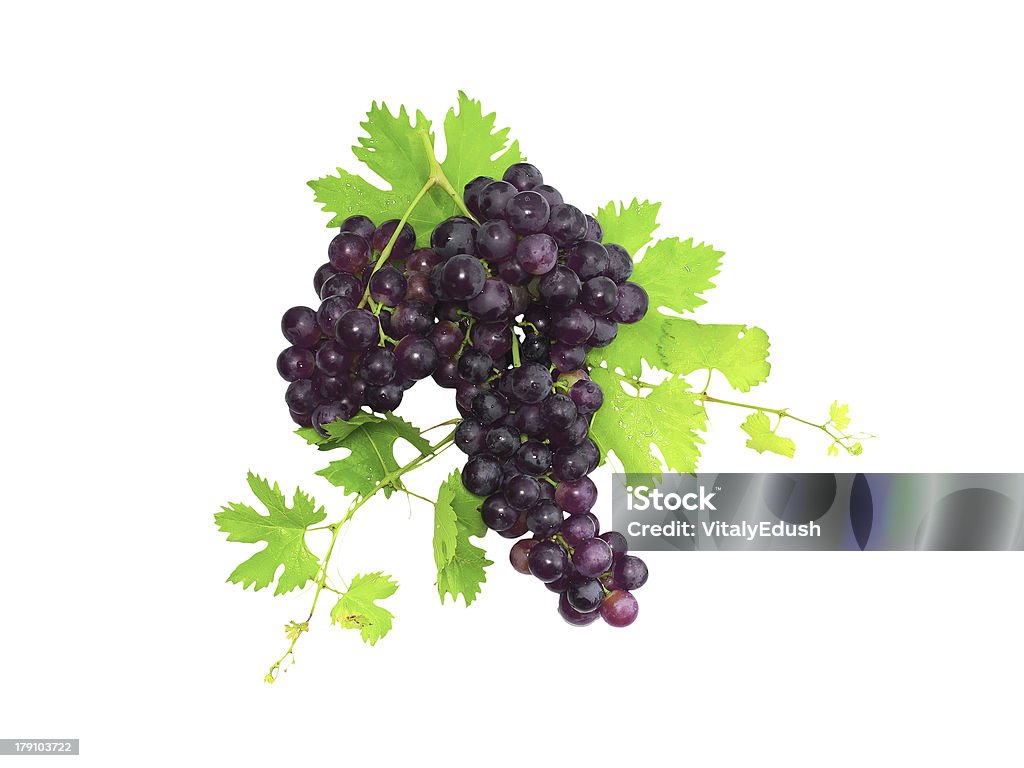 Rama de negro, uvas y hoja verde. Aislado - Foto de stock de Blanco - Color libre de derechos