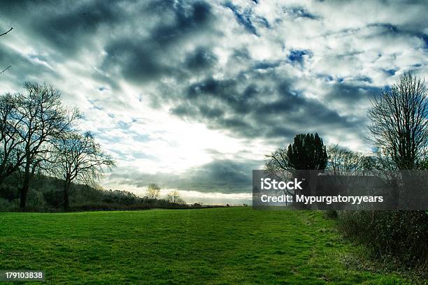 Campo Con Vista Foto de stock y más banco de imágenes de Agricultura - Agricultura, Aire libre, Azul