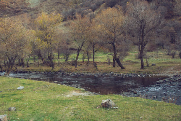 istock The river flows through the forest. Autumn forest, trees and river 1791042403