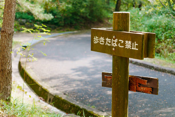 istock 'Do not smoke while walking' sign at a street 1791042417